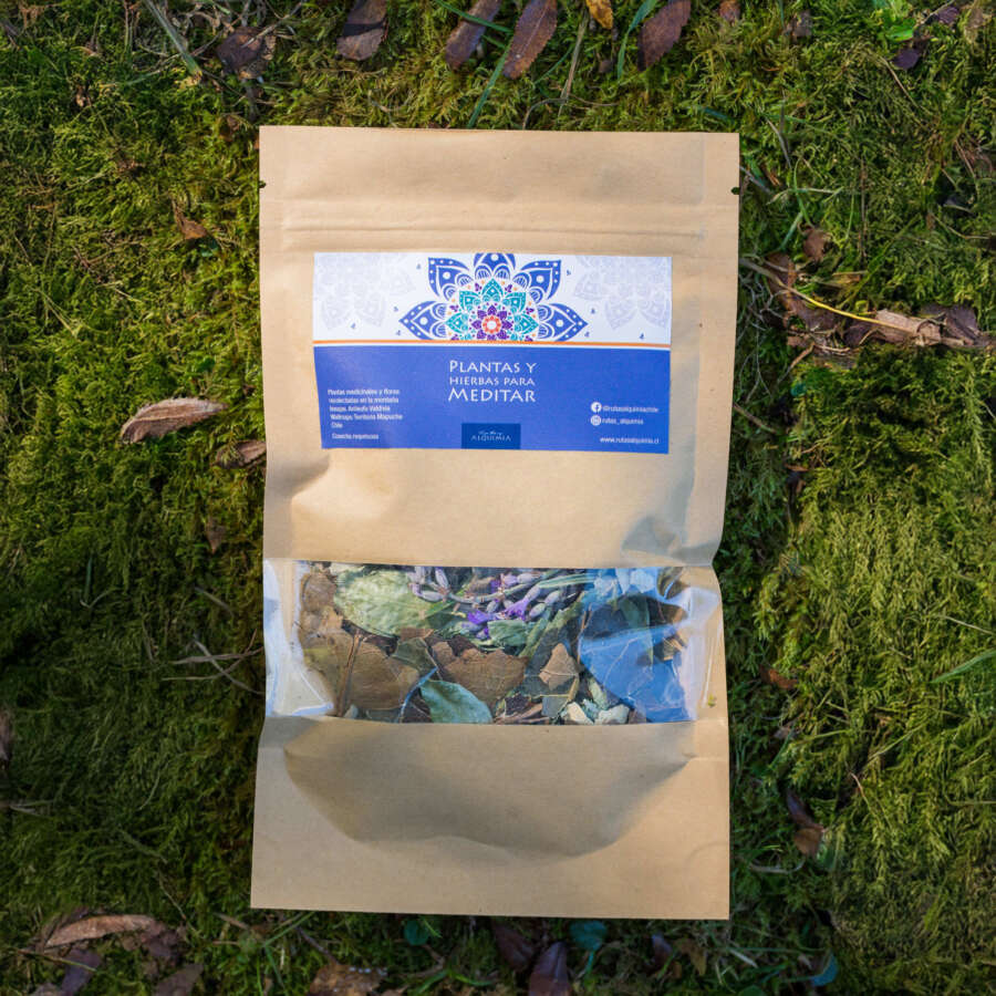 PLANTAS PARA MEDITAR